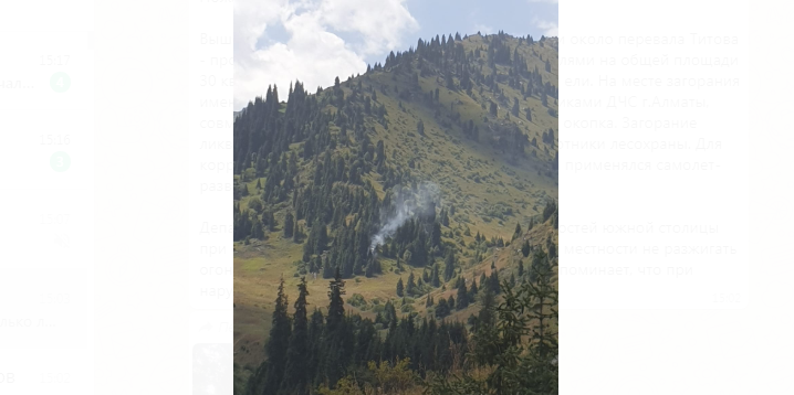 Возгорание сухостоя около перевала Титова в Алматы тушили с помощью самолета-разведчика