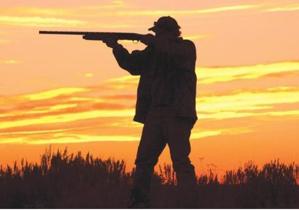 В Казахстане с 16 февраля вводится запрет на весеннюю охоту