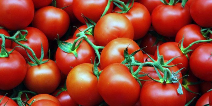 Россия ждет от Казахстана итоги расследования по зараженным томатам