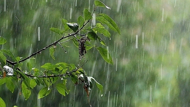 Дожди ожидаются в субботу почти во всех областях Казахстана