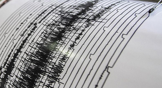 4.5 points quake recorded 204 km south-east from Almaty