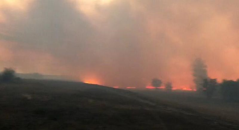 Лесной пожар добрался до сельских домов в ЗКО