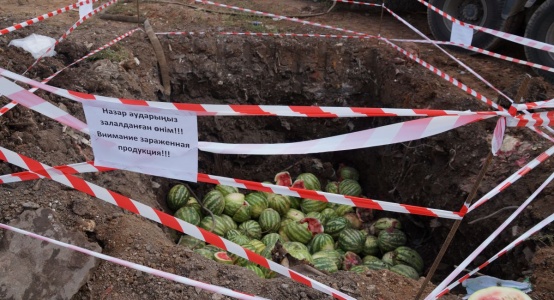 15 tons of watermelons infected with melon fly liquidated in Nur-Sultan