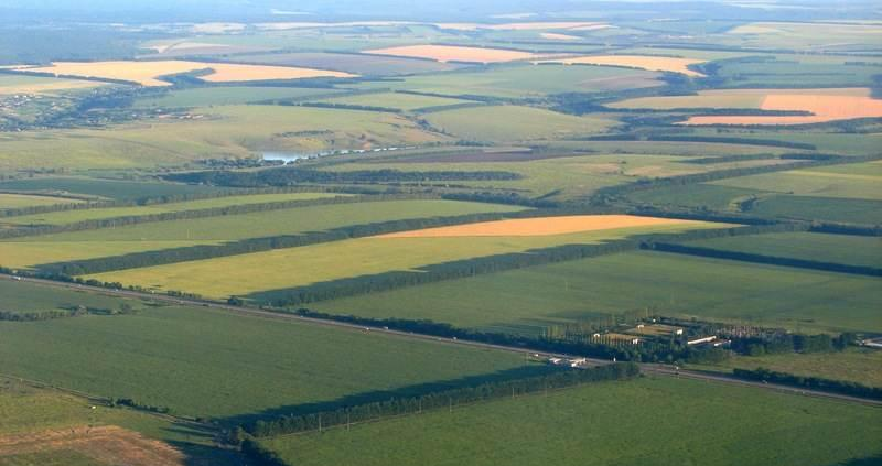 Комиссия проголосовала за продление в Казахстане моратория на продажу сельхозземель