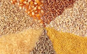 Продкорпорация Казахстана увеличила экспорт зерновых и масличных до 401,6 млн тонн за 11 мес 2018 года