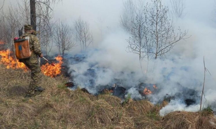 Пожар охватил значительную часть леса в ВКО 