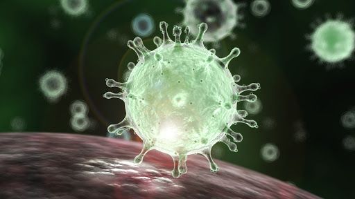 Коронавирус вызывает массивную иммунную реакцию - ученые