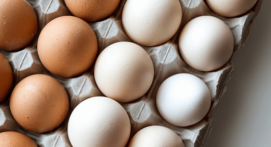 Rise in prices for eggs and poultry is result of growing prices for feed - expert
