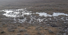  Атырау облысында мұнай өнімдеріне ұқсас сұйықтық төгілген