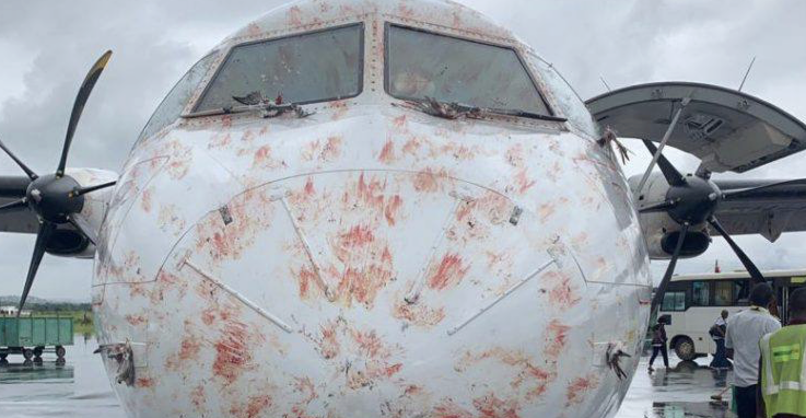 Самолет Qazaq Air выведен из строя из-за столкновения с птицами при посадке в Атырау