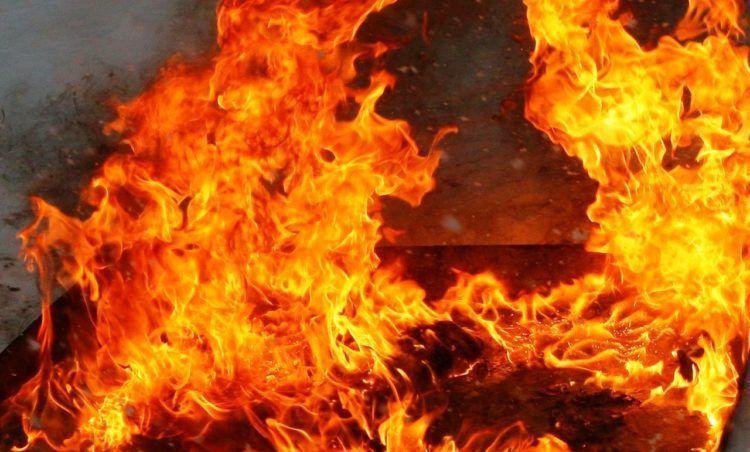 Крупный пожар разгорелся в комбинате хлебопродуктов в ЗКО