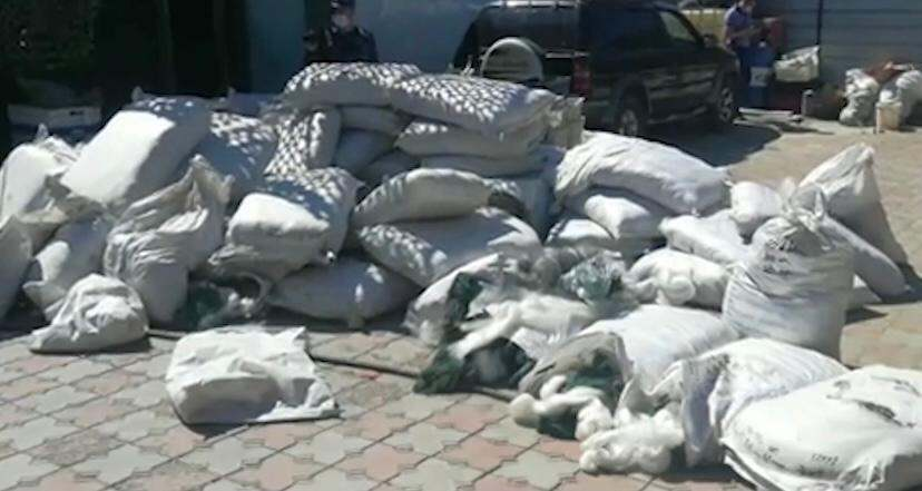 Шесть тонн рыбы и 200 км сетей изъяли у браконьеров в ходе спецоперации на Балхаше