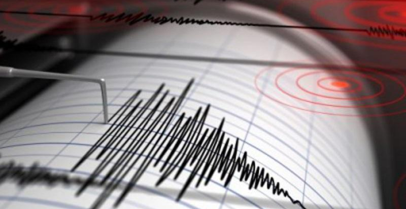 Землетрясение магнитудой 4,9 произошло на границе Казахстана и Китая