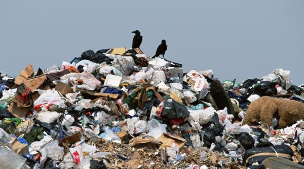 Почти 20 незаконных мусорных полигонов выявили в Алматы