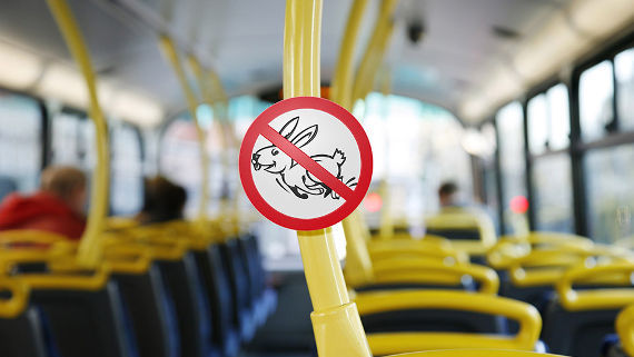 Почти на Т42 млн оштрафованы «зайцы» в автобусах Нур-Султана