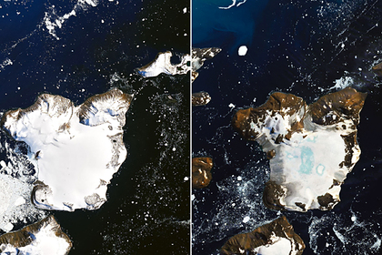 Катастрофическое таяние льда зафиксировано в Антарктиде