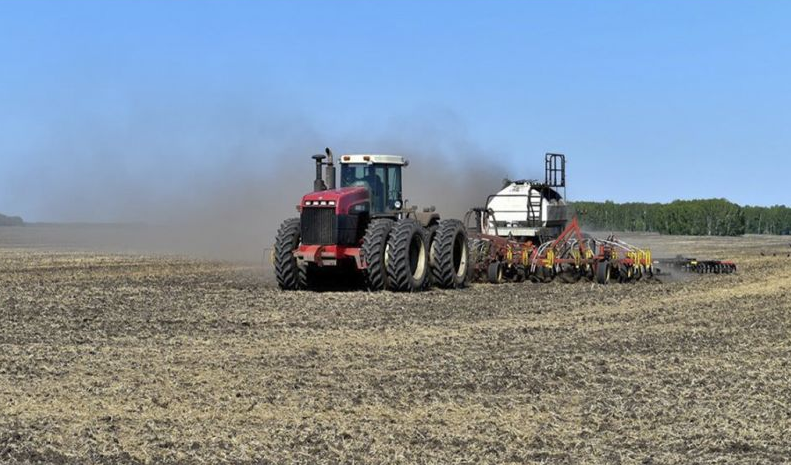 Массовый посев в основных зерносеющих регионах Казахстана начнется в середине мая – МСХ