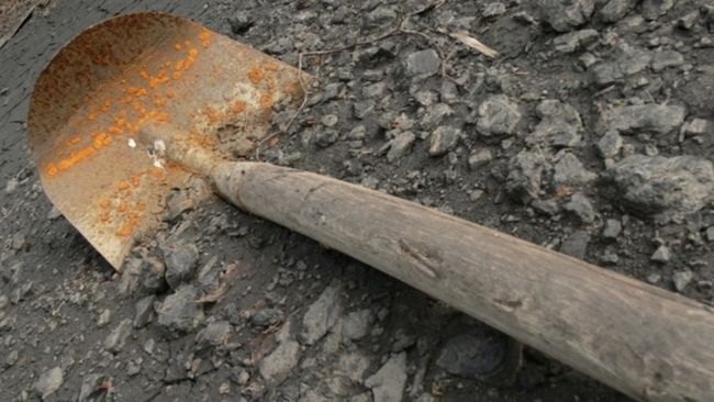 79-летнюю жительницу Алматинской области избили черенком лопаты