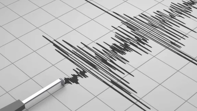 Earthquake measuring 5.4 hit in the south of Kazakhstan