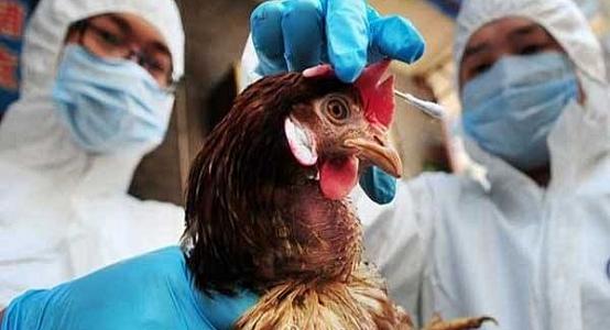 Quarantine imposed in three villages of Kostanay region amid bird flu outbreak