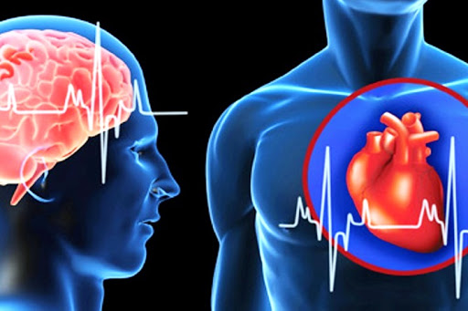 Новый способ лечения инфарктов и инсультов разработали казахстанские ученые 
