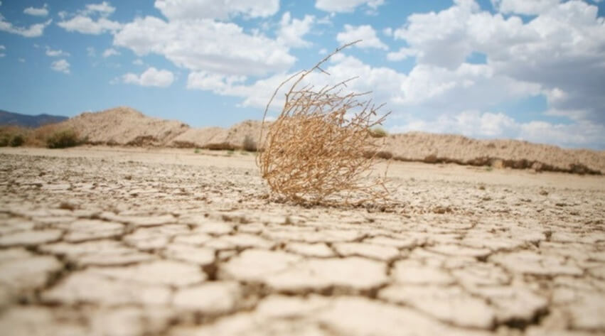 Засуха и дефицит осадков ожидаются в августе в ряде районов шести областей Казахстана