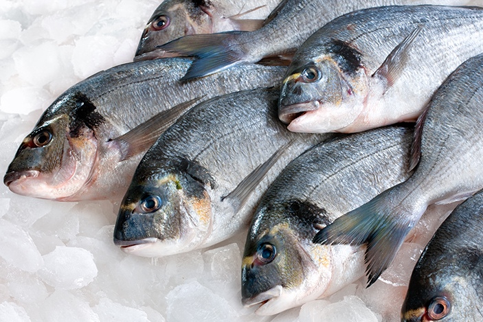 В Карагандинской области было изъято свыше 2 тонн незаконно добытой рыбы