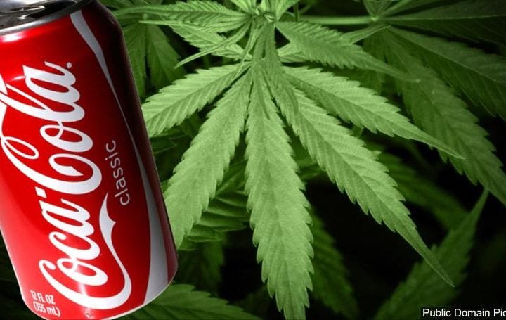 Канадский производитель марихуаны отрицает заключение контракта с компанией Coca-Cola
