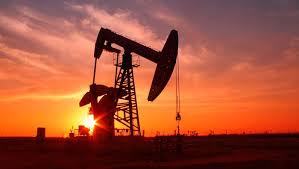 Oil steady as market awaits OPEC cut against low demand