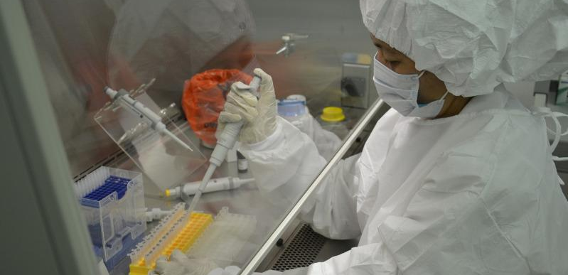 Четыре кандидатные вакцины против коронавируса планируют разработать в Казахстане – МОН