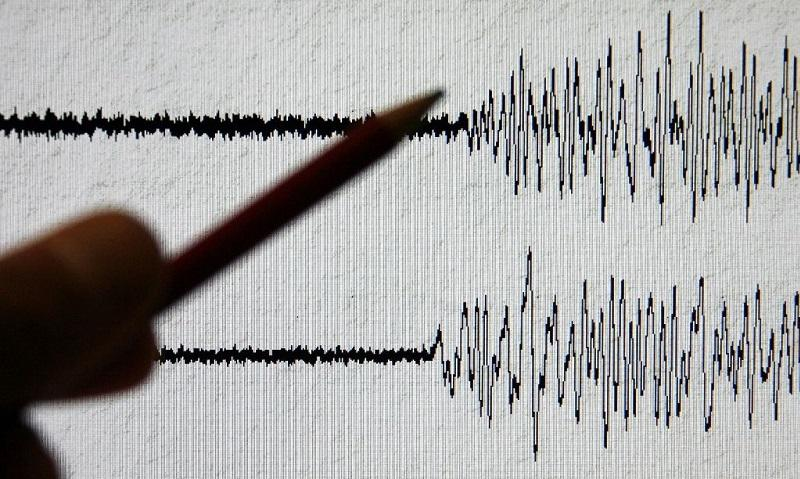 Землетрясение магнитудой 4,6 произошло недалеко от Шымкента