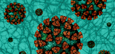 Қазақстанда COVID-19 індетінің өсу қарқыны сақталып отыр – денсаулық сақтаумині  