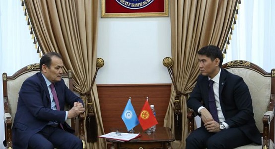 Launch of representation of Turkic council in Budapest discussed in Bishkek