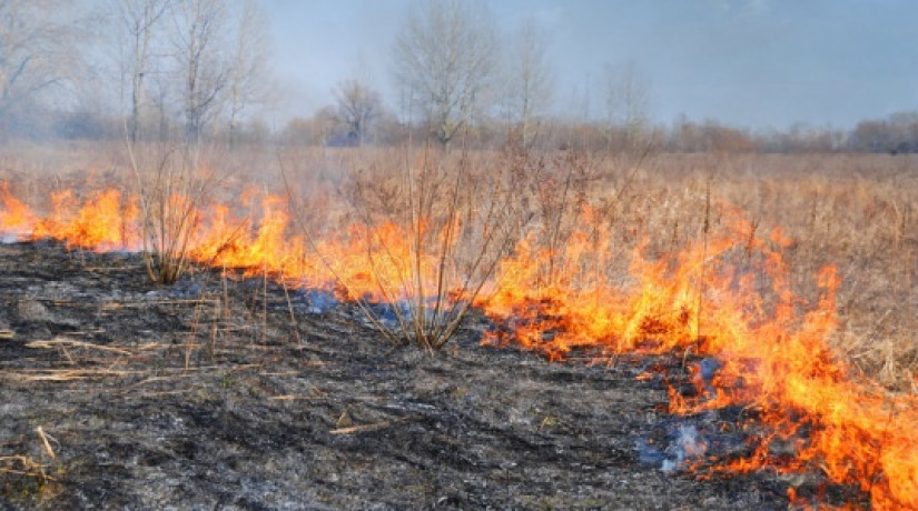 Возгорание сухой травы тушат в ВКО