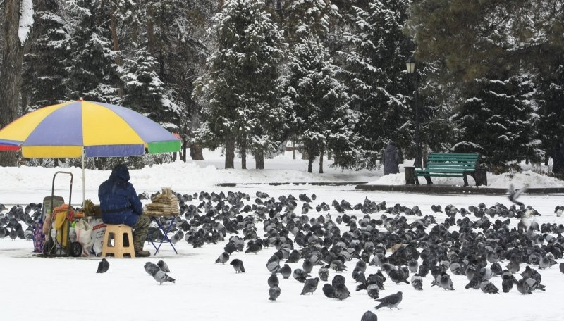 Погода без осадков ожидается во вторник в большинстве областей Казахстана
