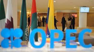 Iran and Iraq will take part in meeting of OPEC+ monitoring committee