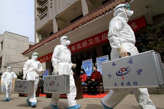 Смерть человека от птичьего гриппа зафиксирована в Китае