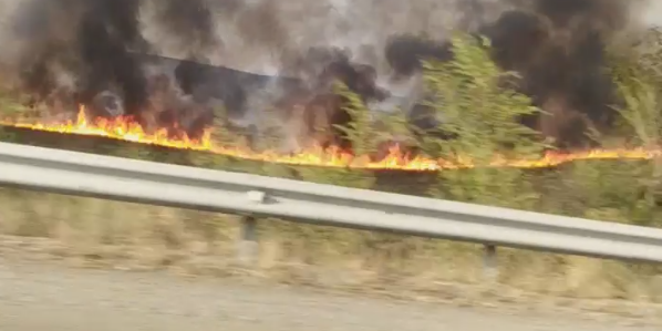 Степной пожар вдоль трассы Алматы–Бишкек в Алматинской области потушен
