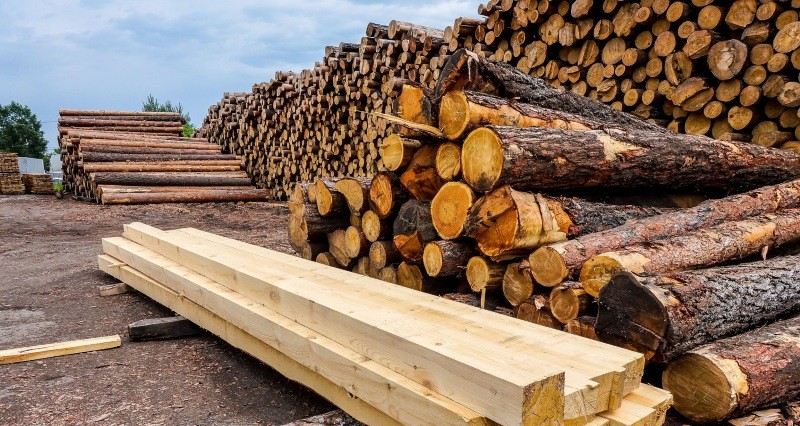 Казахстан готовится продлить запрет на вывоз отдельных видов лесоматериалов