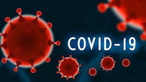 More than 6.5 mln people contracted coronavirus worldwide