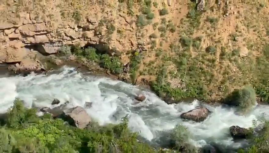 Трое из семи пропавших туристов найдены в ущелье Туркестанской области
