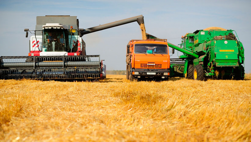 Уборка зерновых и зернобобовых завершилась в Казахстане – намолочено 16,4 млн тонн зерна