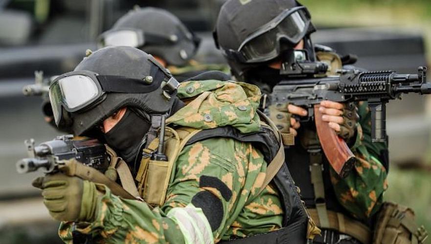 Спецслужбы стран СНГ проведут совместные антитеррористические учения в 2018 г.