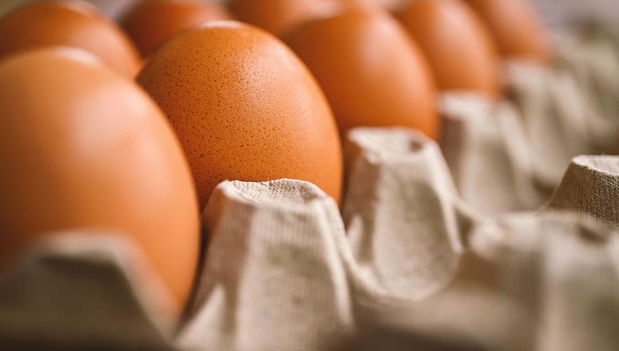 Ситуация с яйцом под контролем – Шаккалиев