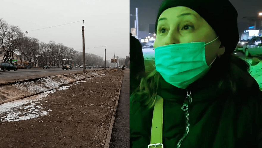 Очевидец вырубки деревьев на Толе би в Алматы: Полиция уговаривала меня пойти домой