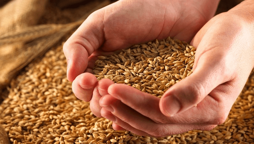 Сенат одобрил создание в Казахстане резервного фонда зерна