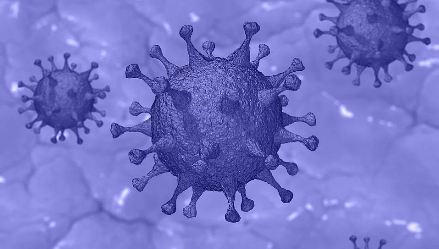 Число зараженных коронавирусом в Казахстане достигло 973