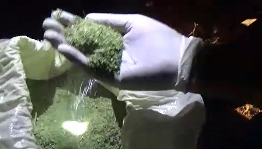 Более четверти тонны марихуаны нашли во внедорожнике в Жамбылской области