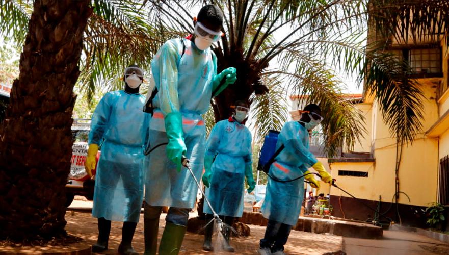 Эпидемия Эболы началась в Гвинее