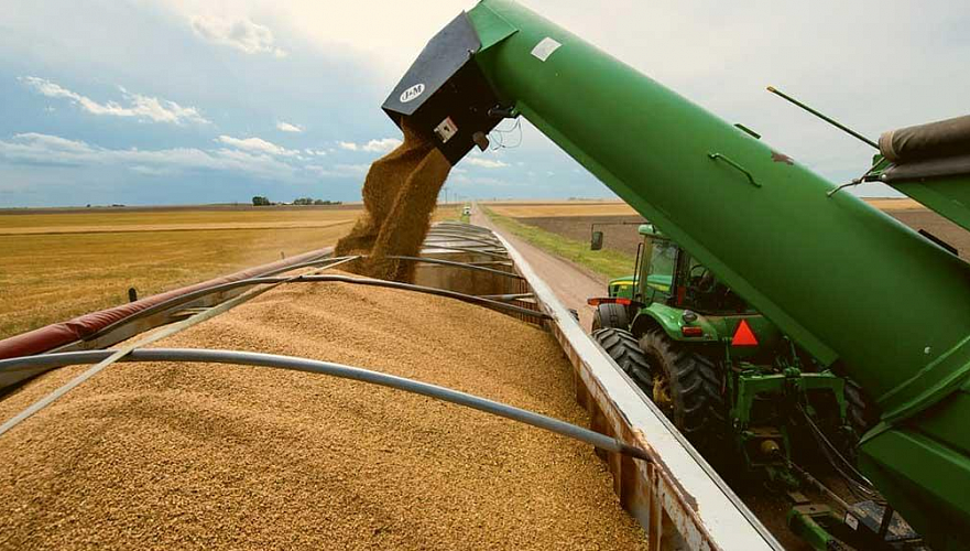 За 11 месяцев Казахстан нарастил экспорт сельхозсырья в ущерб экспорту готовых товаров